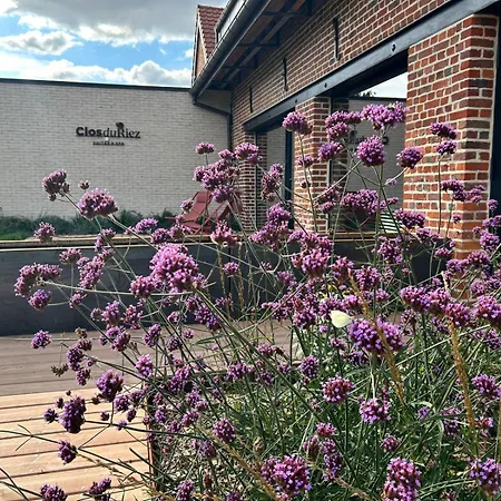 Hotel Clos Du Riez - & *